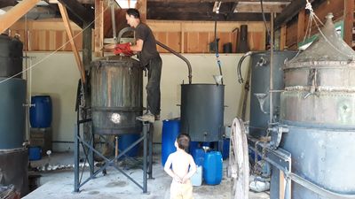 Distillerie traditionnelle de lavandes et plantes aromatiques