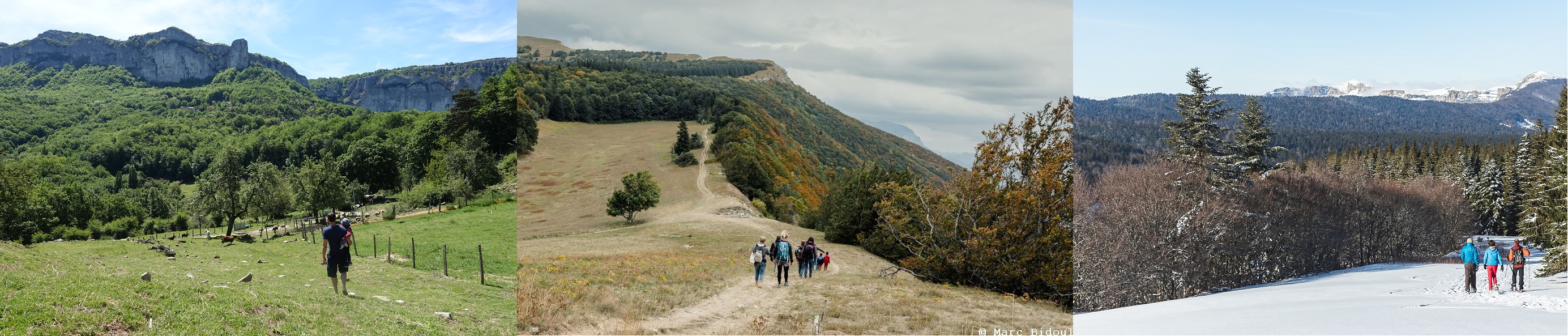 La Maison Zéro, Activités externes. Au fil des saisons, les paysages et les ambiances sont magiques, les activités s’adaptent entre montagne et Provence !